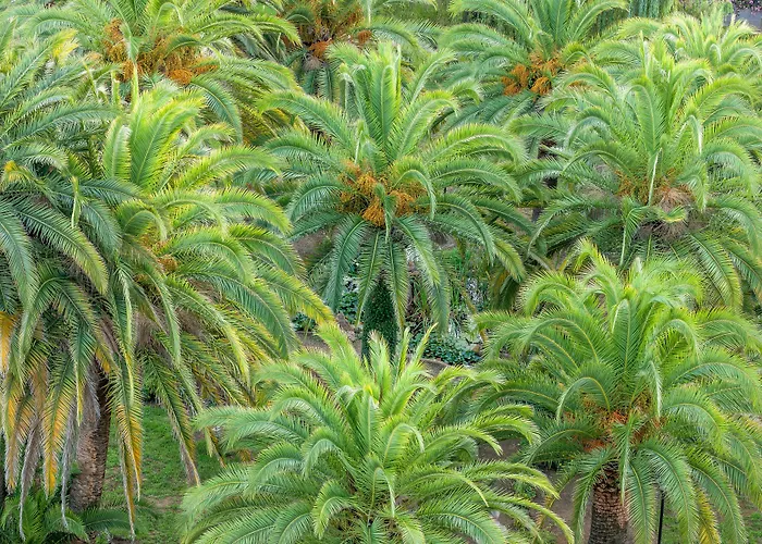 Campo Dell'oro Hotell Ajaccio (Corsica)