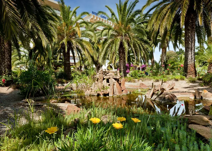 Campo Dell'oro Hotell